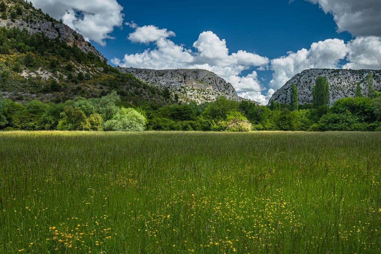Stočarstvo koje čuva prirodu – novo vrednovanje starinskih pasmina u kršu