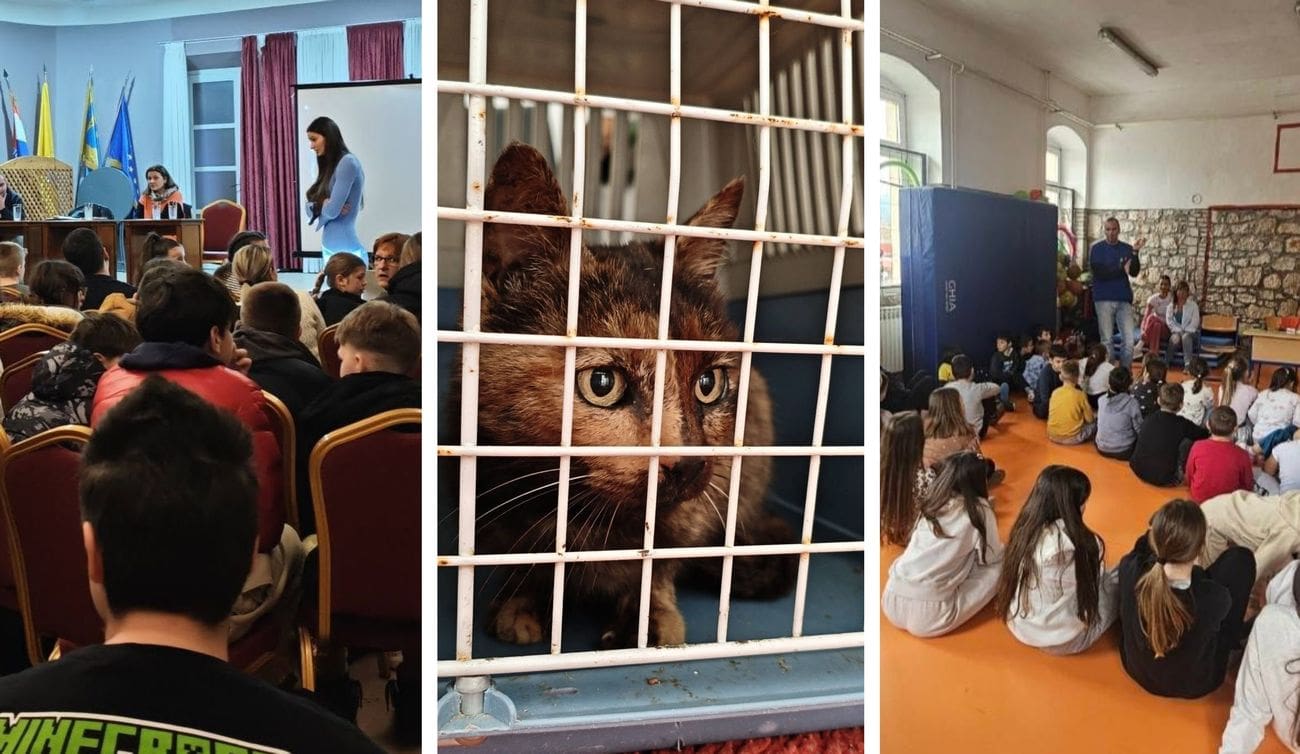 Od učionica do terena: Evo kako su ulične mace ujedinile otok Hvar