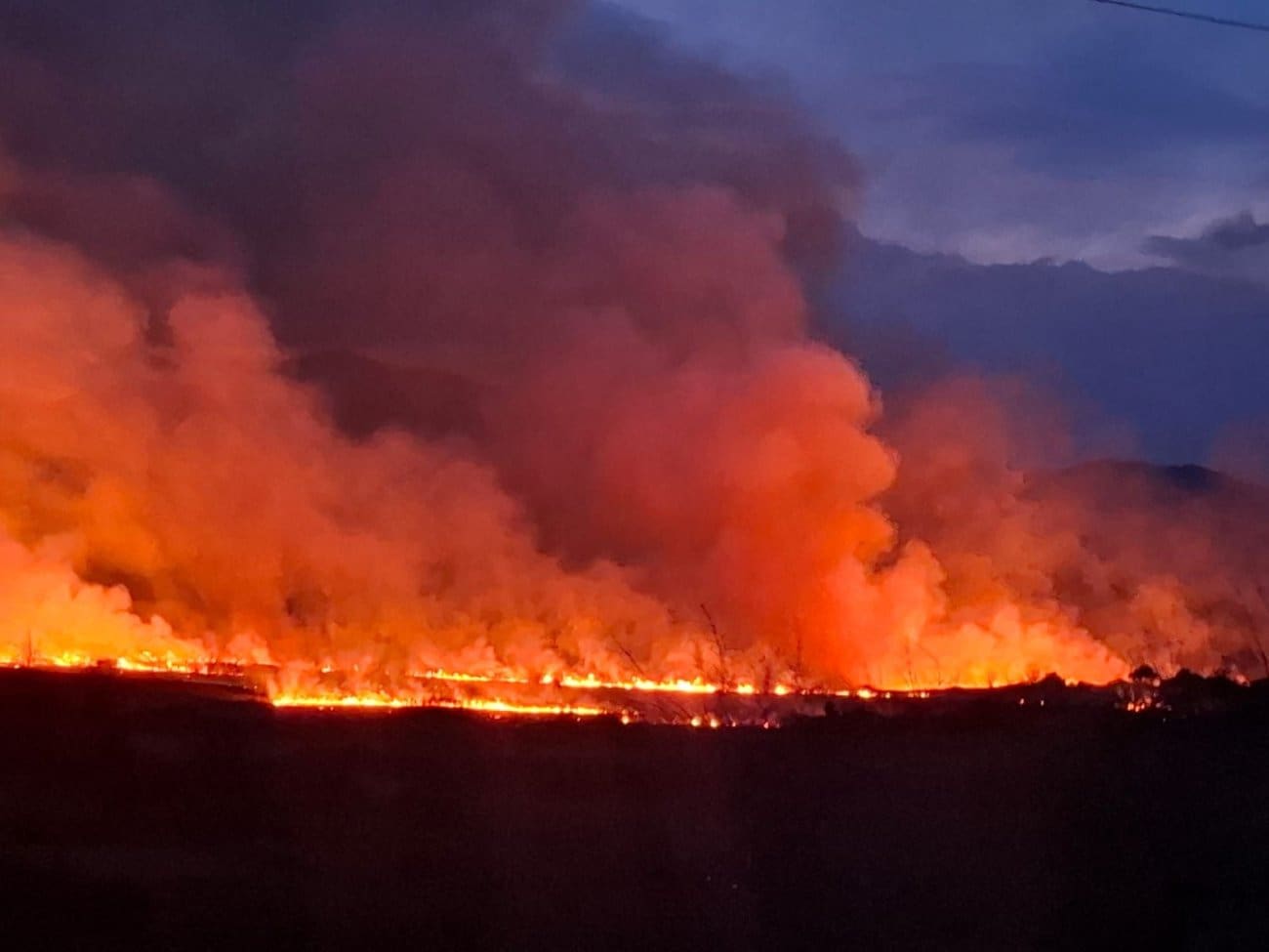 Na području Ploča izbio ogroman požar
