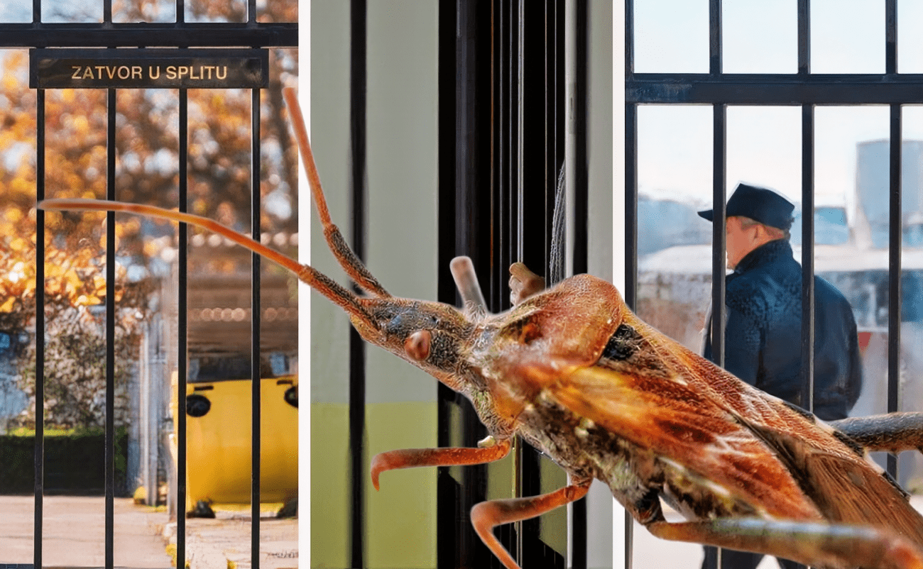 Iz Ministarstva uvjeravaju kako su uvjeti na Bilicama skroz dobro: U zatvoru imaju klimu, podno grijanje, ugrađene televizije s preko 70 programa. Problem sa stjenicama se rješava...