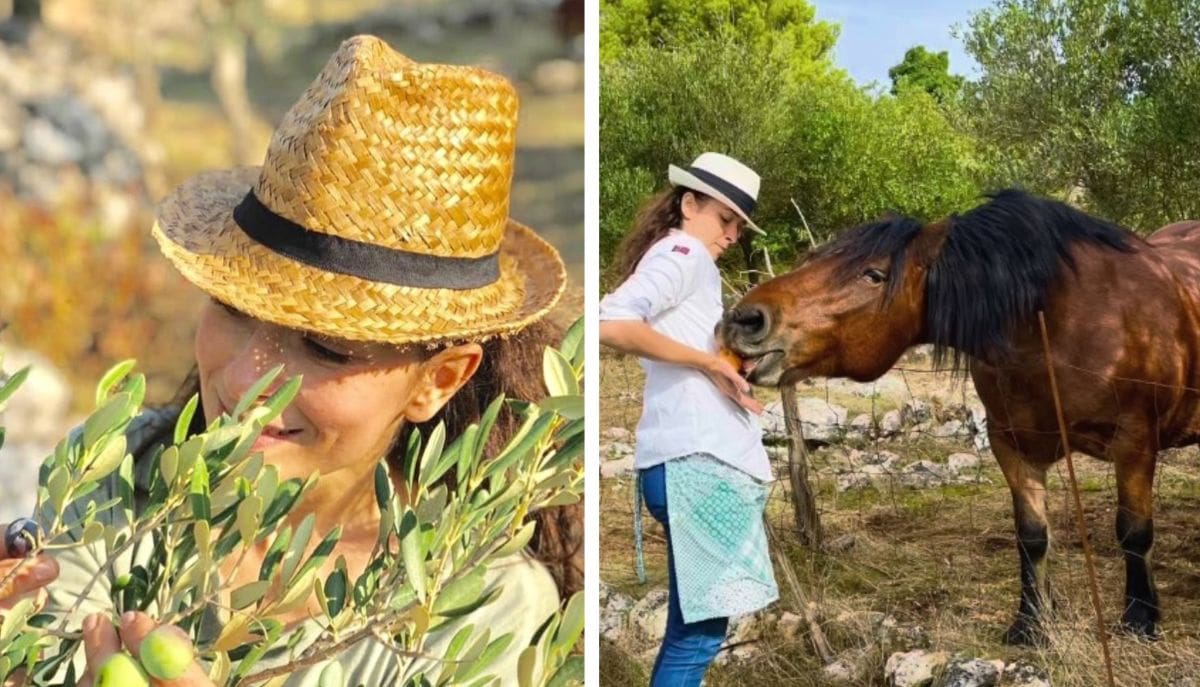 Noćnjak 2026: Najljepša hrvatska glumica osvojila zlato za svoje maslinovo ulje: "Maslinik mi je vratio dio mene"