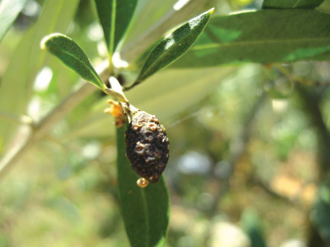 Kalendar radova u travnju