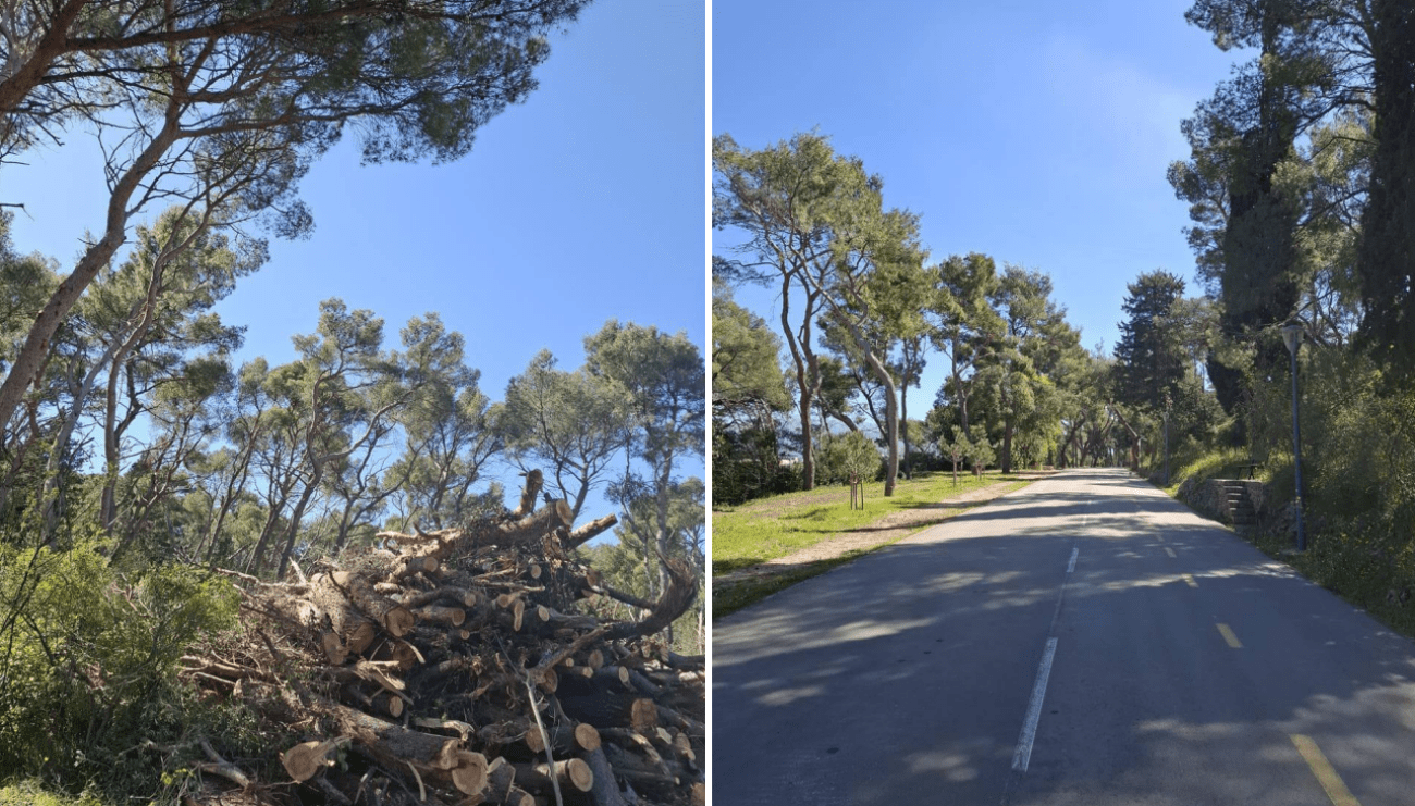 Grad objavio nove informacije o Marjanu: Stanje se prati, stiže izvještaj