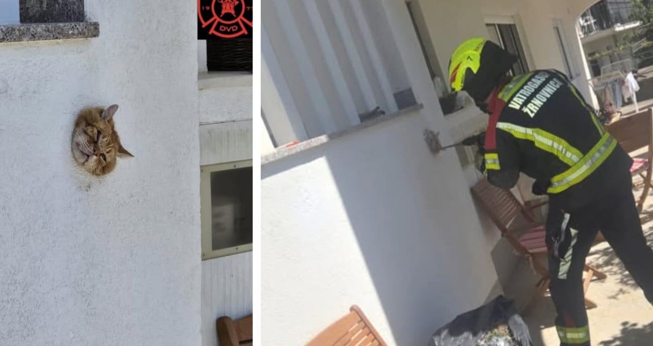 Neobična intervencija u Žrnovnici: Mačka zapela u rupi na zidu
