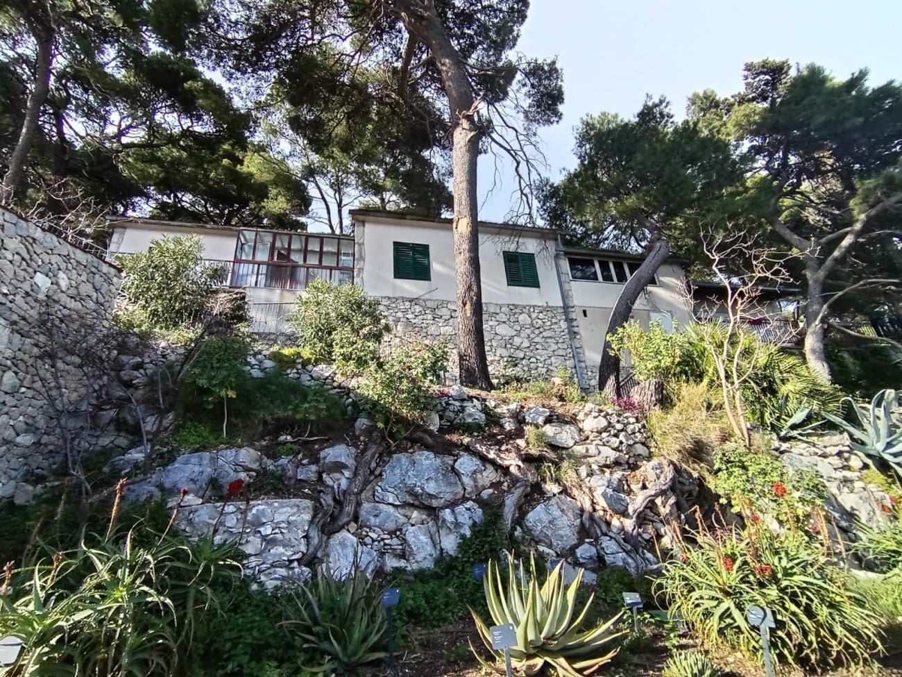 KAOS NA MARJANU Marinić: "Najmanje četiri osobe imaju prebivalište u Botaničkom vrtu, ravnatelj JUPŠ Marjan im otvoreno pogoduje"