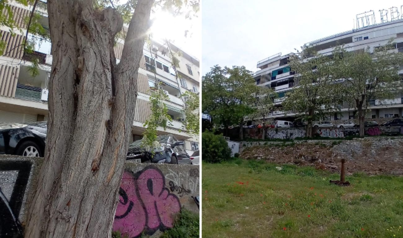 Privremeno zatvaranje dijela Bregovite ulice zbog uklanjanja dotrajalih stabala