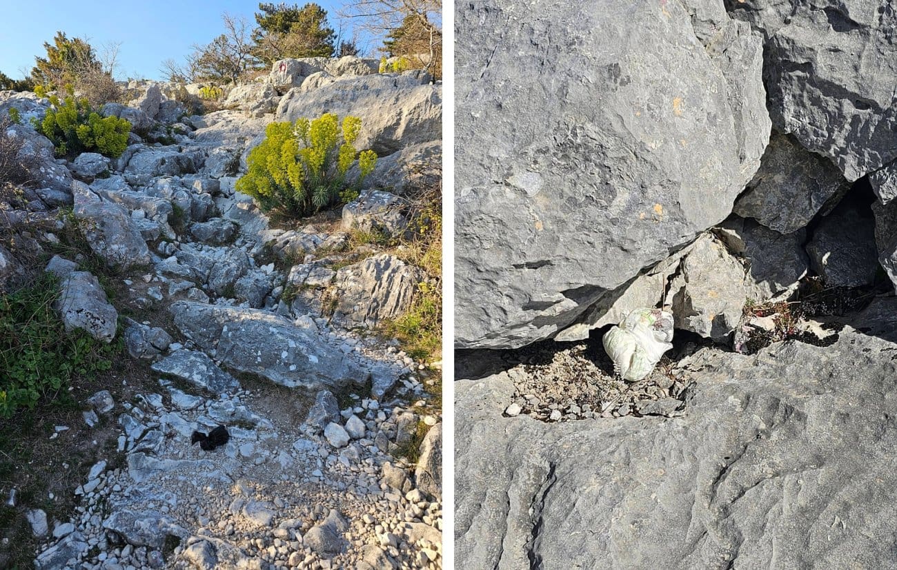 Sramotan prizor na Mosoru