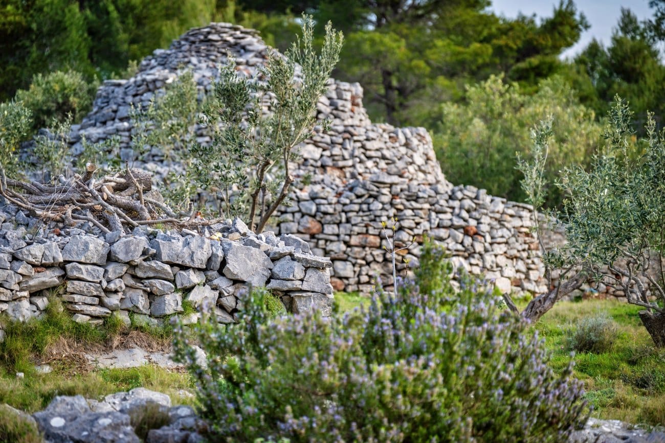 japjenice japnenice solta 1