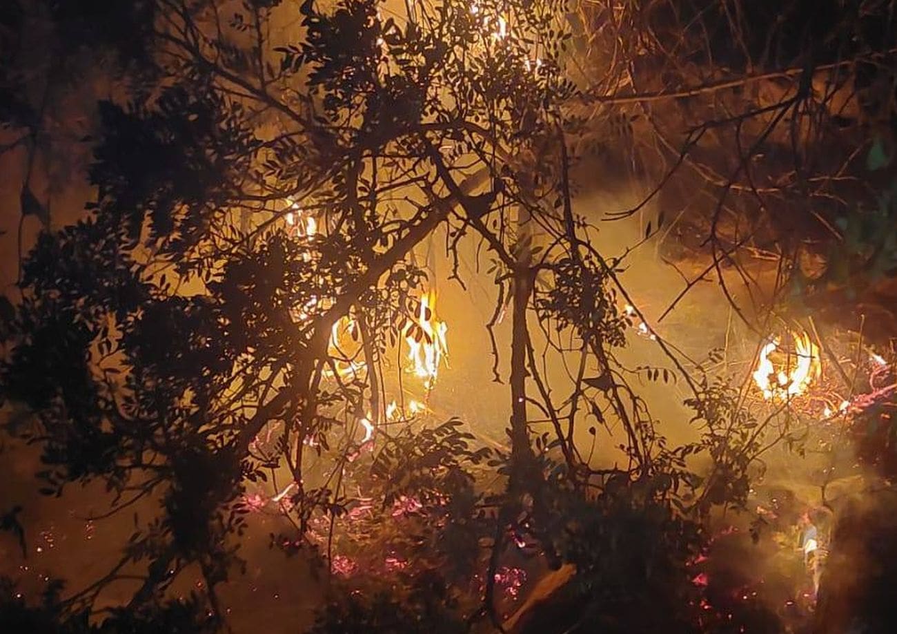 Požar kod Podstrane brzo ugašen, vatrogasci uputili apel roditeljima: "Razgovarajte s djecom o opasnostima paljenja vatre u prirodi"