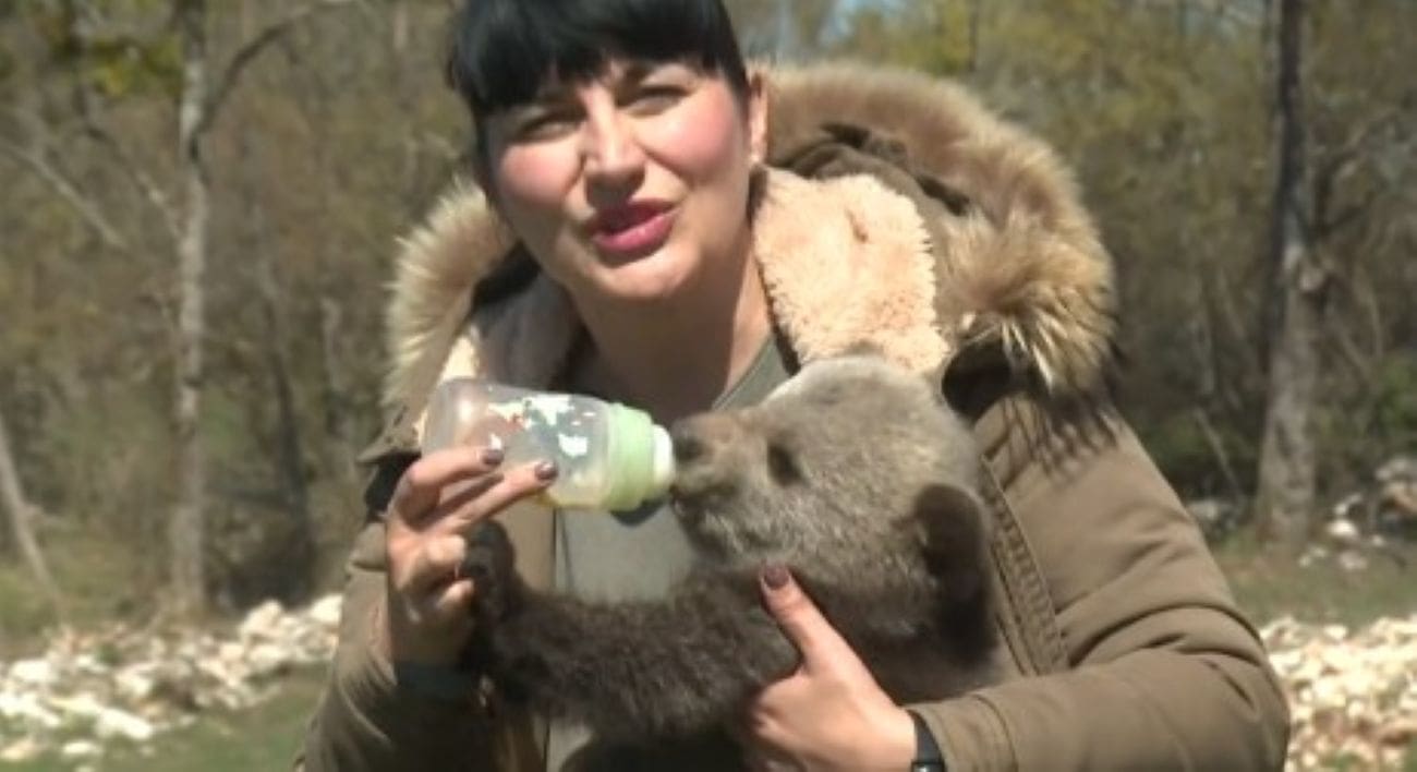 Trogodišnja Mia dobila neobičnog prijatelja. Mali medo im došao na vrata