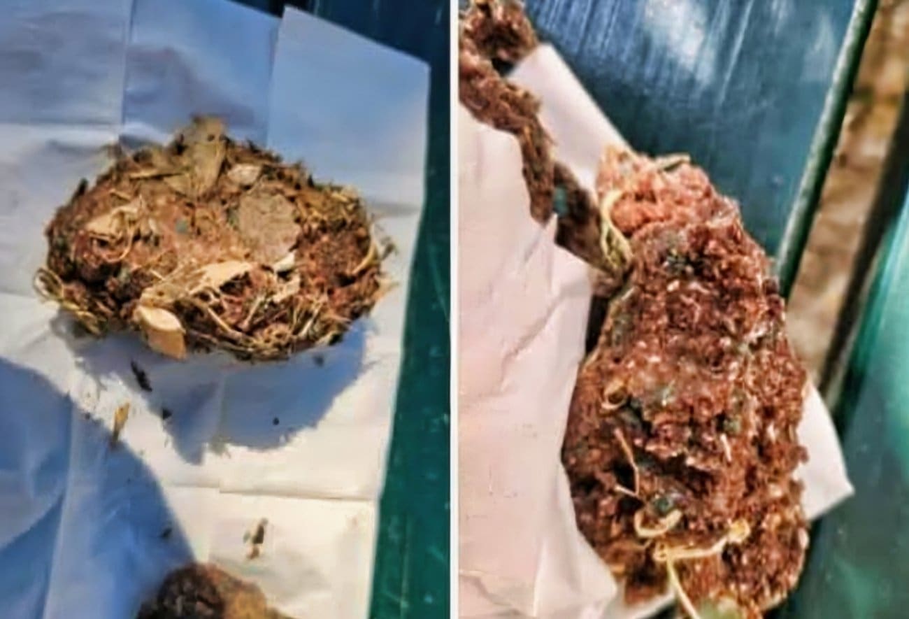 Uznemirujući prizor u Splitu: "Otrov" pronađen na popularnoj šetnici?