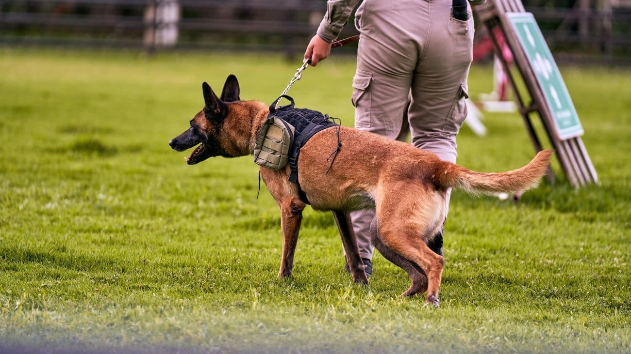 Kupci i djelatnici hitno evakuirani iz dva trgovačka centra u Hrvatskoj