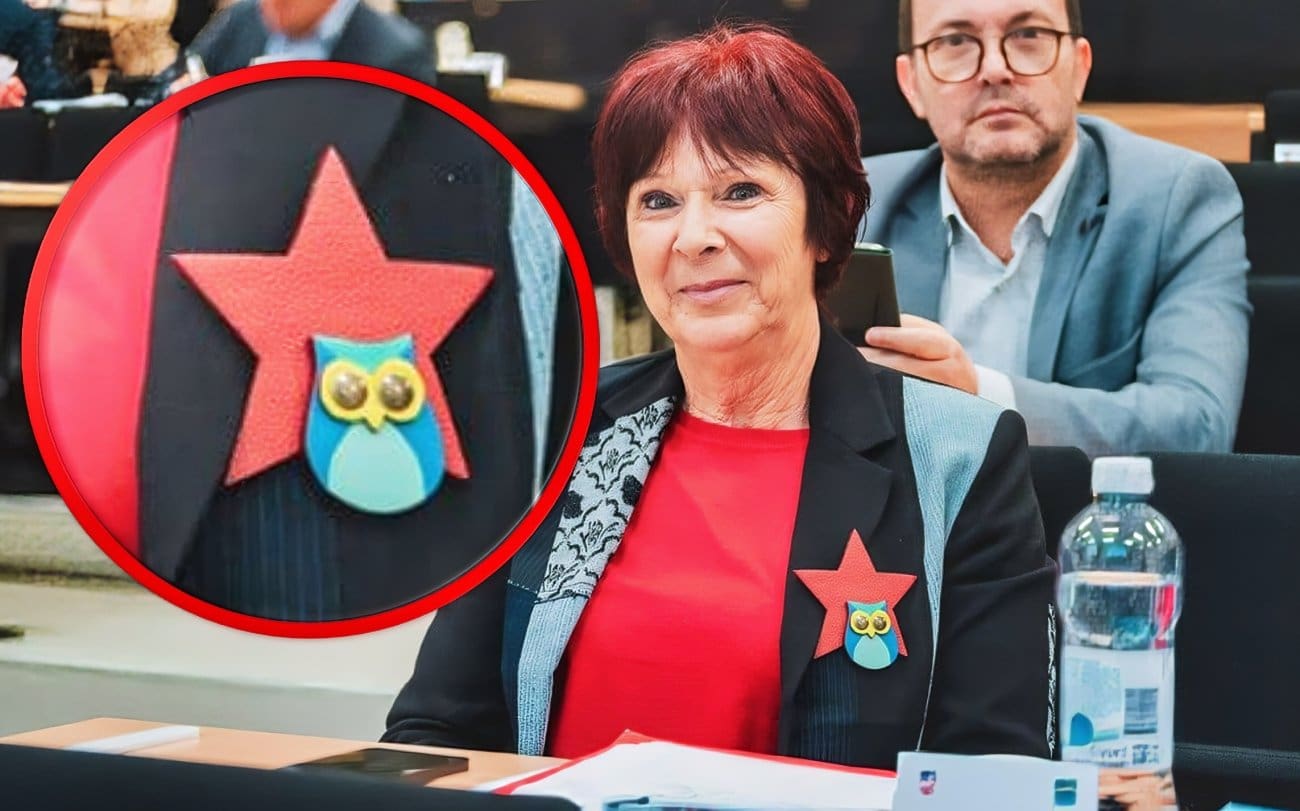 Petokraka u Županijskoj skupštini izazvala osude. Hrvatski časnički zbor Splita traži reakciju institucija: "To je simbol pod kojim su ubijani naši prijatelji"