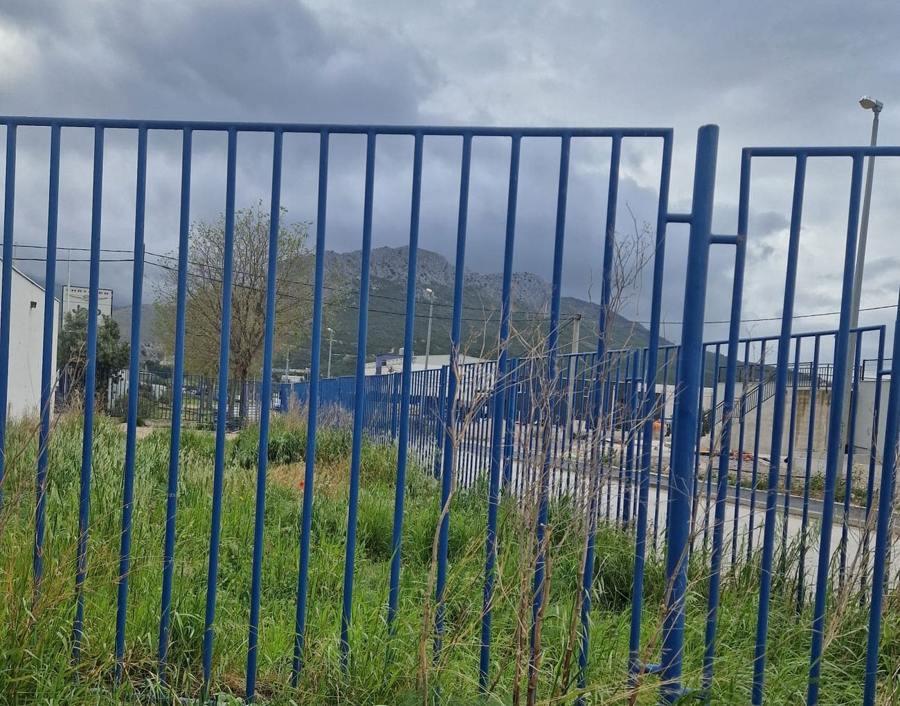 Trava opet prekrila pregled: Opasni izlaz na TTTS-u i dalje bez rješenja