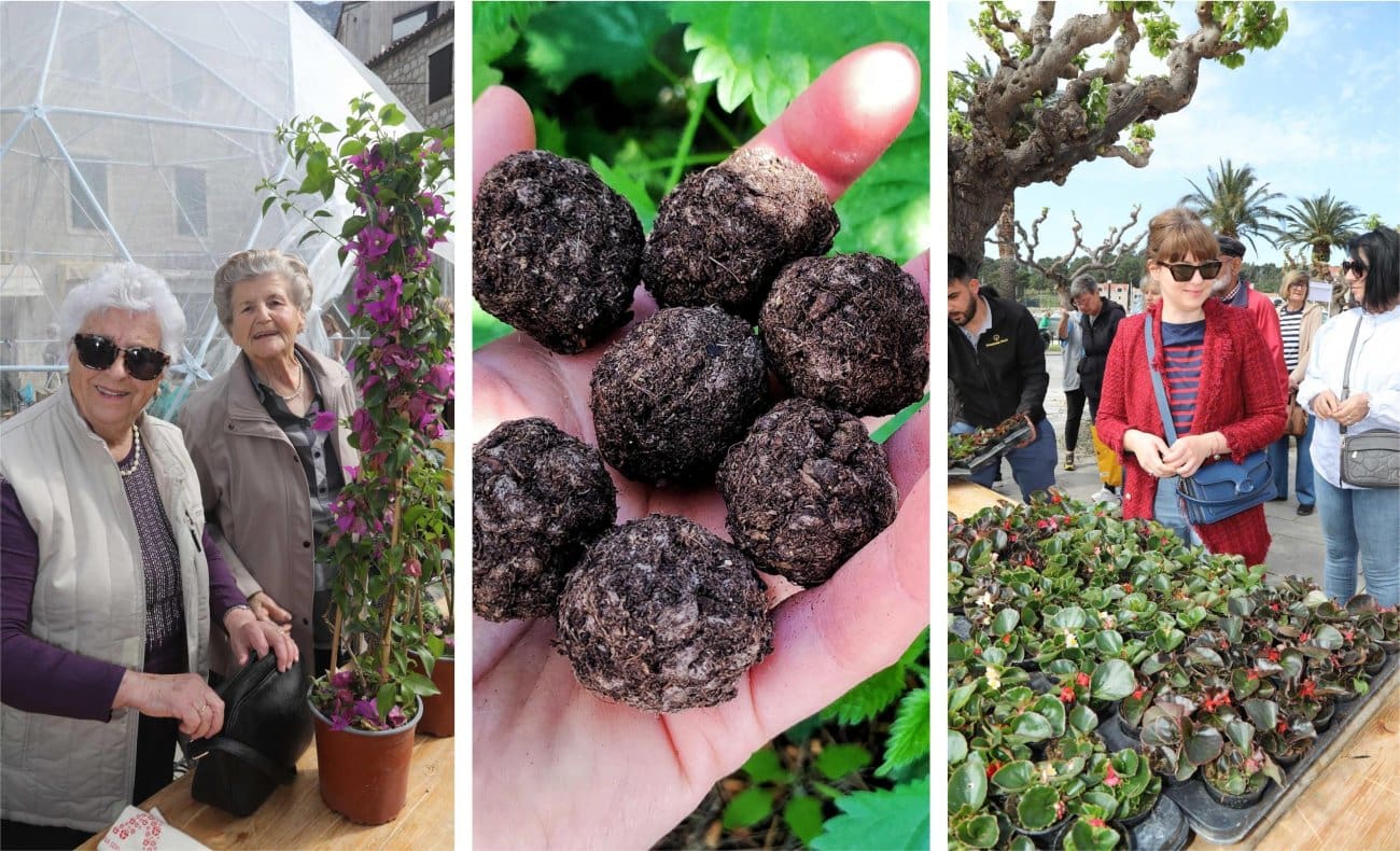 Mali koraci za veliki učinak: Program Dana planeta Zemlje u Makarskoj