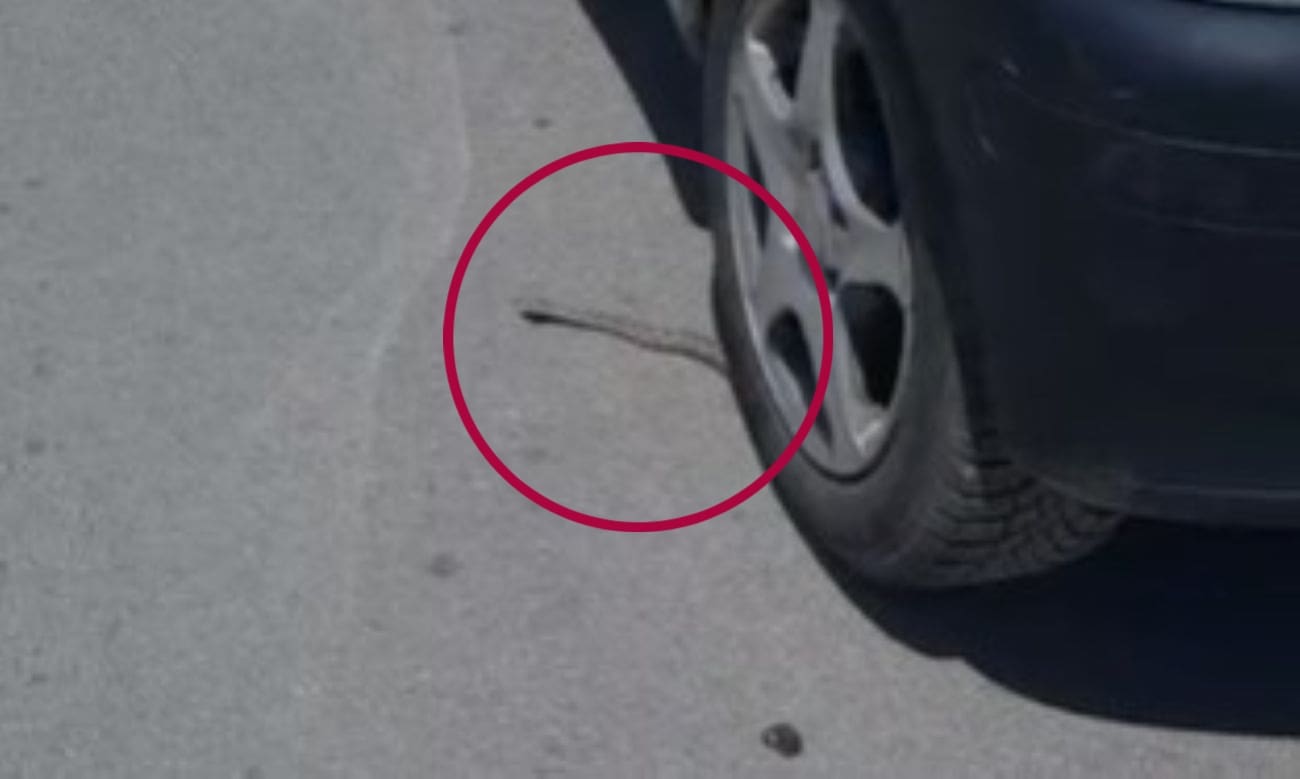 VIDEO Poskok snimljen na autobusnoj stanici na Mertojaku