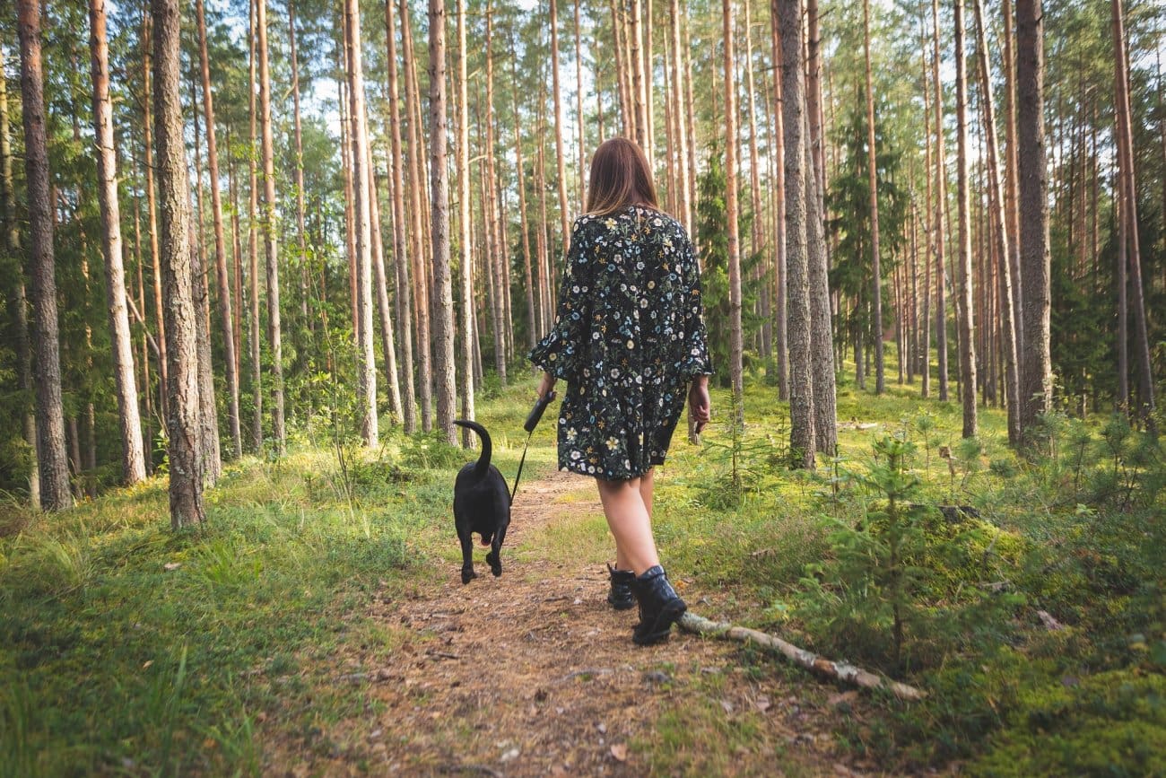 Nije 10 tisuća: Znanstvenici otkrili koliko koraka dnevno pomaže da se kilogrami ne vrate