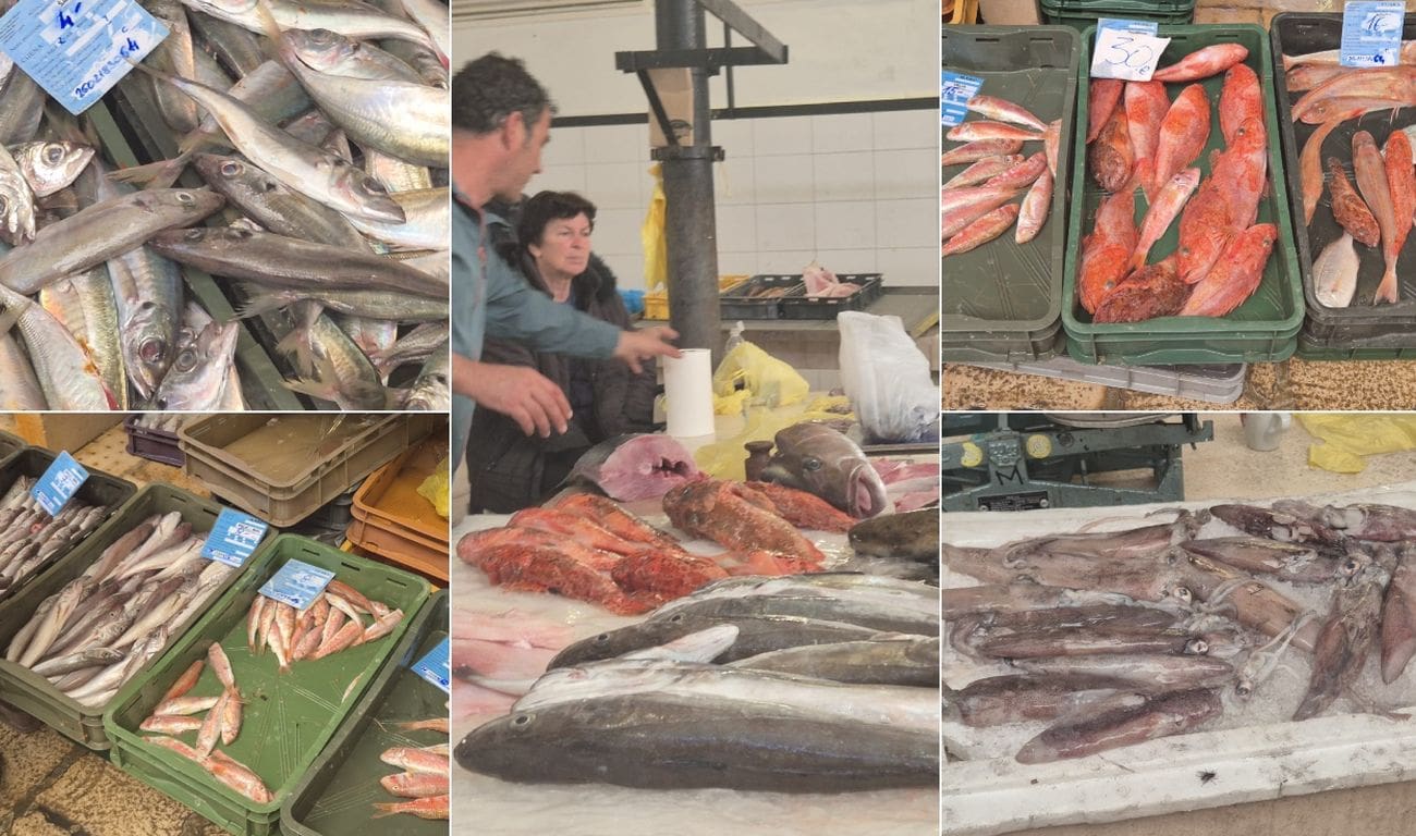 Peškarija je jutros puna svježe ribe i morskih plodova, cijene dosežu i 25 eura po kilogramu