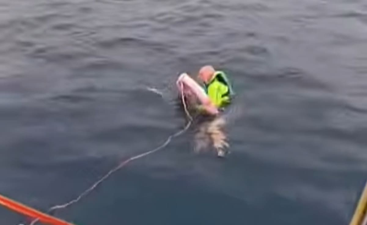 VIDEO Objavljena snimka spašavanja kod Primoštena: Izmoreni 67-godišnjak pronađen dva kilometra od obale