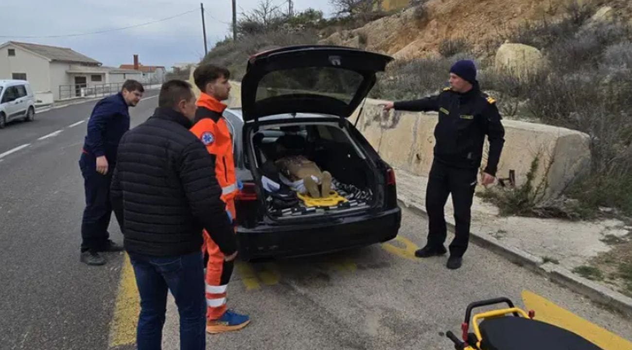 Karlo spašava kad Hitna ne može: "Pacijenta sam zbog bure vozio u gepeku preko mosta!"