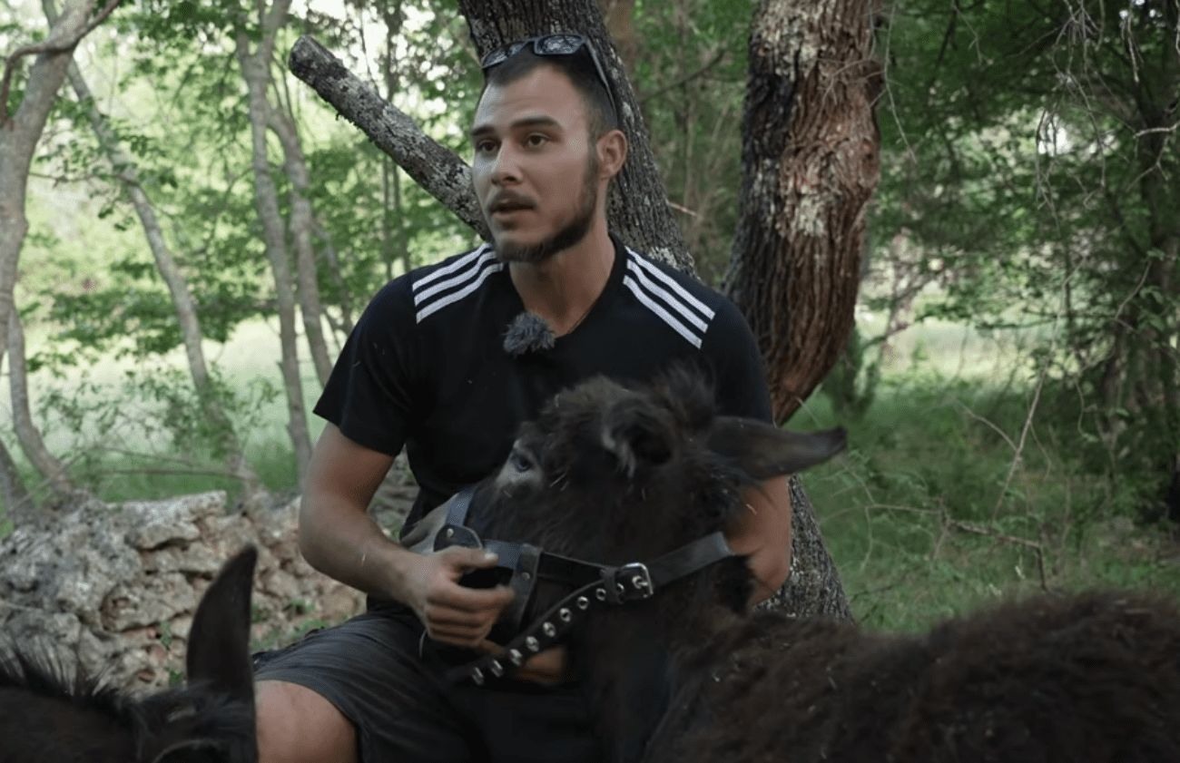 Nikola se iz Zemuna vratio na djedovinu u Dalmaciji i nabavio stoku: "Nikad nisam bio sretniji"