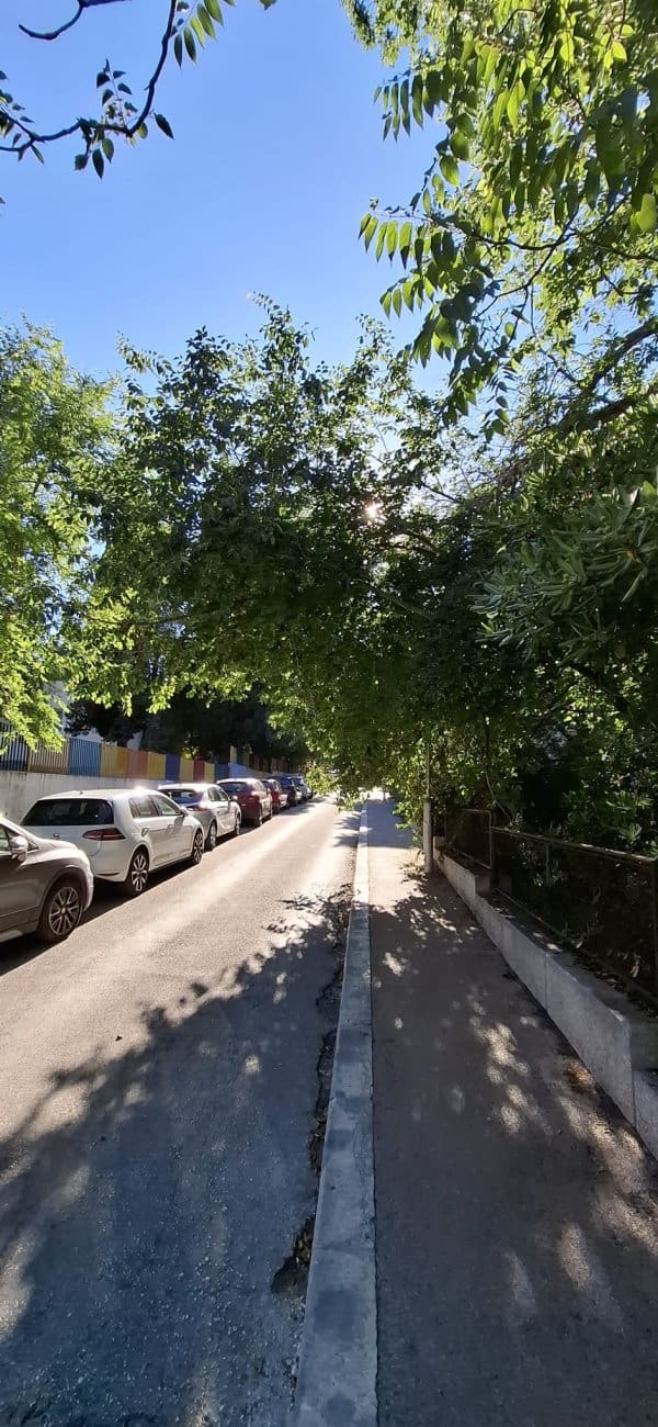 uklanjanje Stabla 5