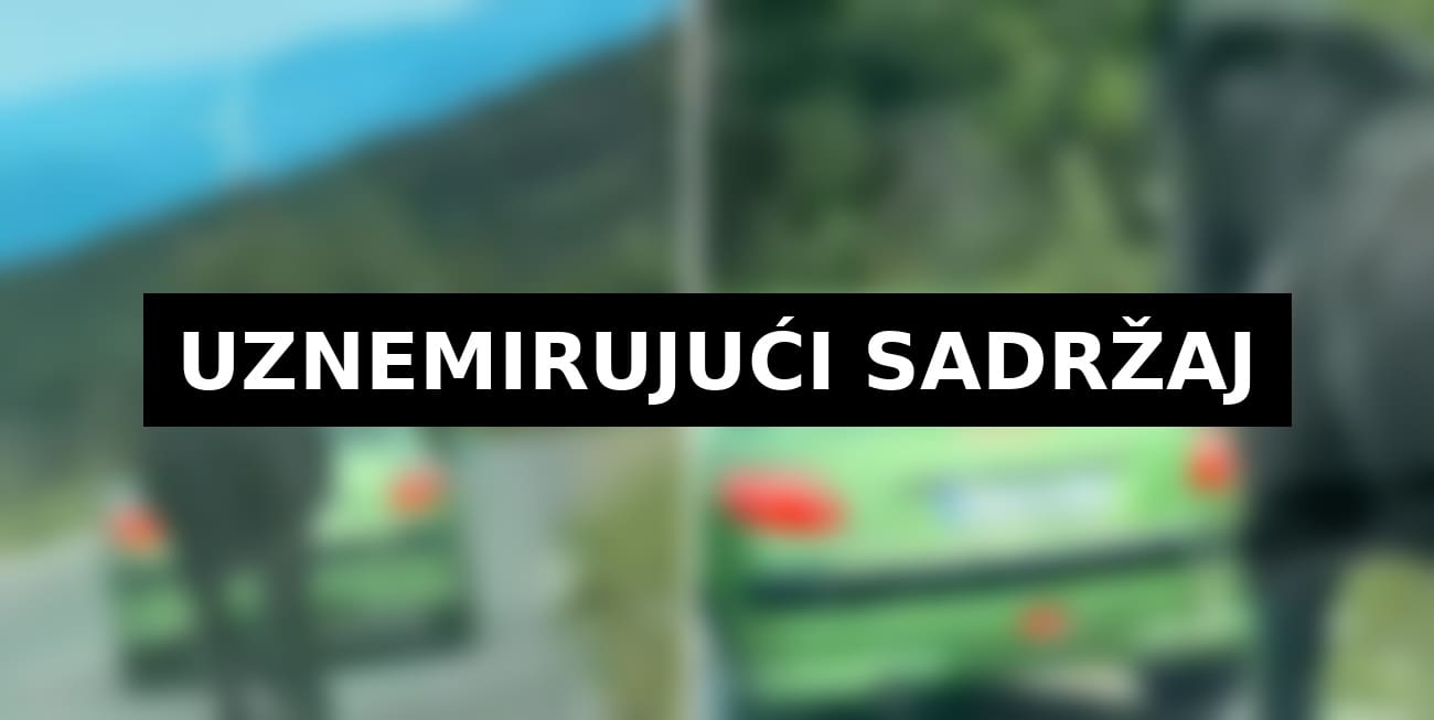 Uznemirujuća snimka iz Hrvatske: Konja vezali za automobil i vukli cestom